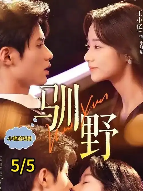 长夜灯盏热播电视剧全集免费观看